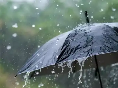 Telangana to Experience Moderate Rainfall for Next 5 Days, Forecasted by Meteorological Department
