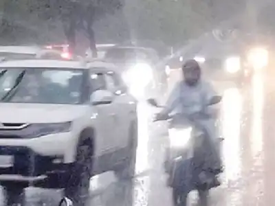 Two dead in treefall at Keesara as heavy winds, thunderstorms hit Hyderabad