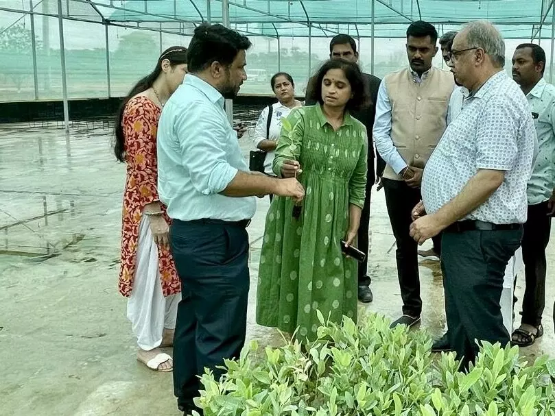 USAID and Vignan’s Foundation join forces to enhance agroforestry and combat climate change in Andhra Pradesh