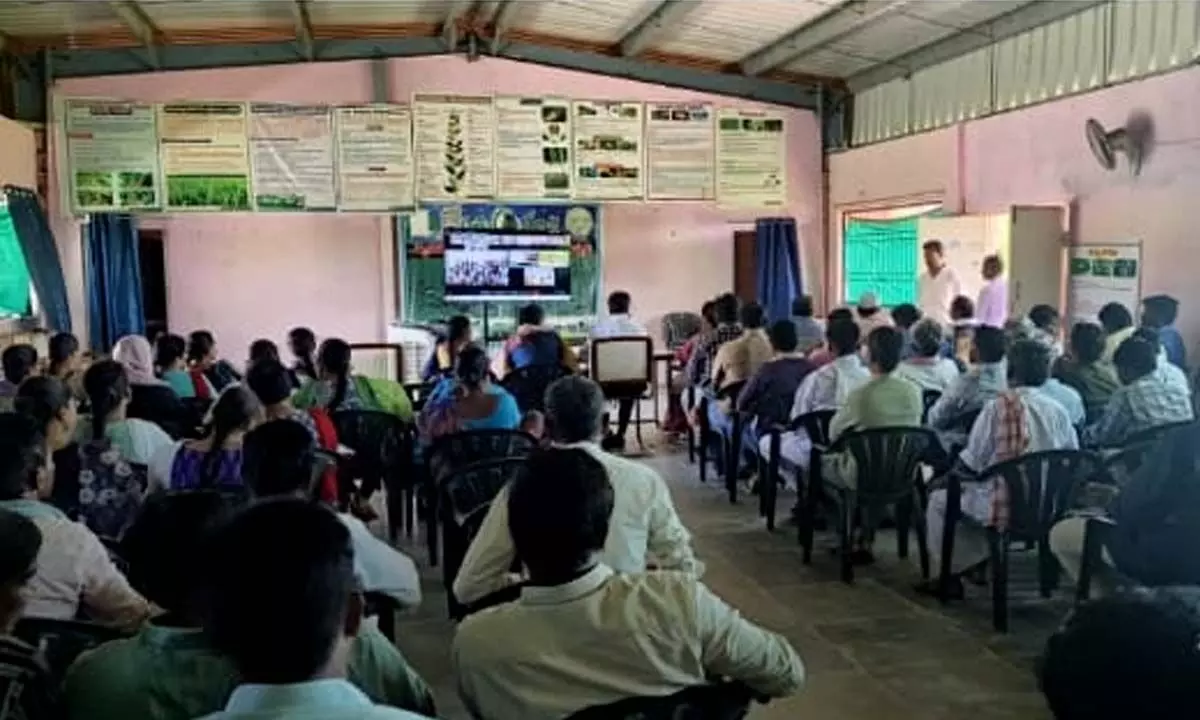 Agriculture Minister engages in video call discussion with farmers on Raitu Bharosa