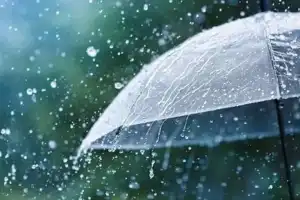AP and Telangana to Receive Light to Moderate Rainfall Over Next Three Days