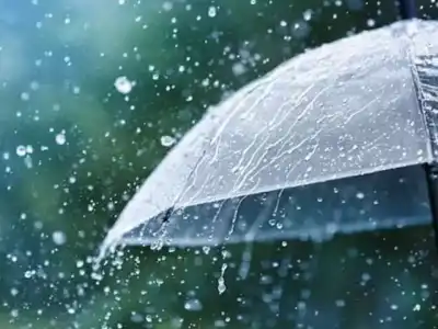AP and Telangana to Receive Light to Moderate Rainfall Over Next Three Days