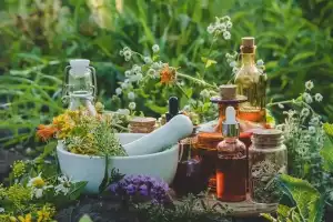 Aziz Nagar’s Unique Medicinal Plants Garden Coming to Life