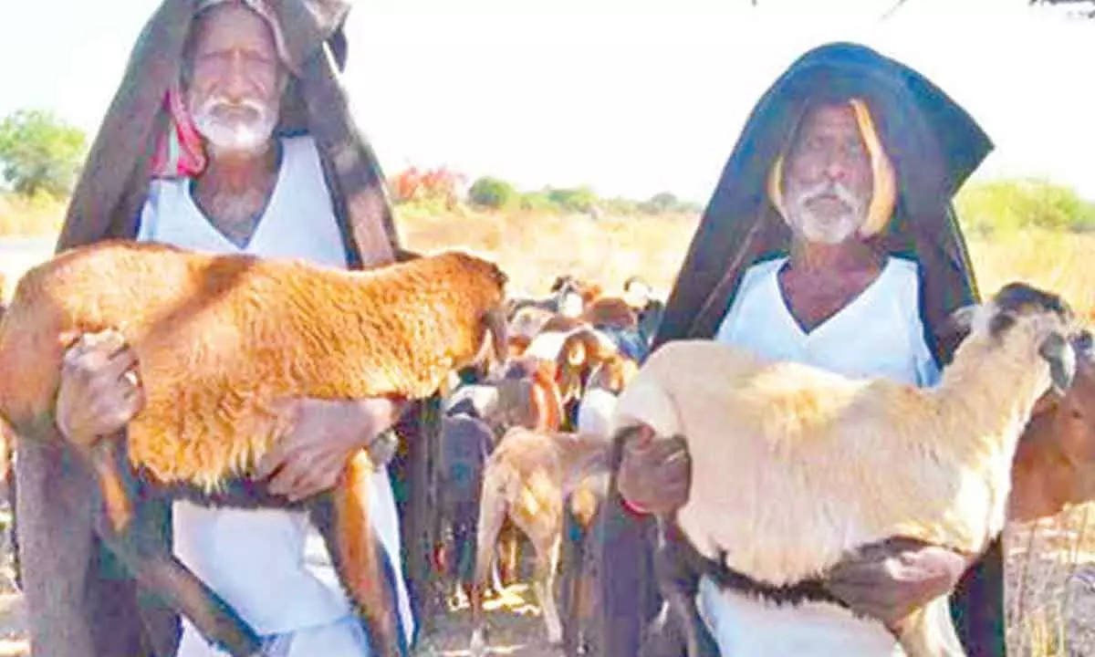 BJP MP requests central agency for information on government scheme