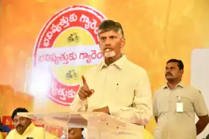 Chandrababu Naidu cautions TDP members to be vigilant against YSRCP instigations