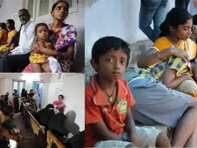 Citizens urged by doctors to take precautions against dengue fever