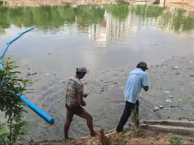 Floating garbage broom introduced to clean up lake
