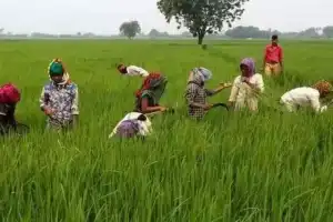 Government to ensure that all eligible farmers receive Rythu Bharosa