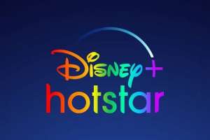 Disney Hotstar Crashes During T20 World Cup Final between India & South Africa