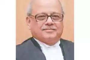 Investigative panel to uncover responsible parties