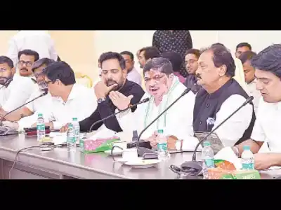 Minister conducts pre-Moharram review meeting