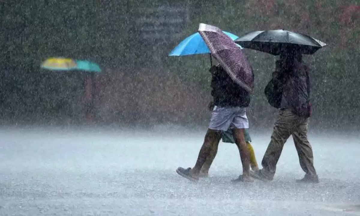 Rangareddy district still waiting for substantial rainfall