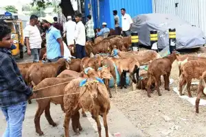 Residents prepare for Bakrid celebration; police on high alert