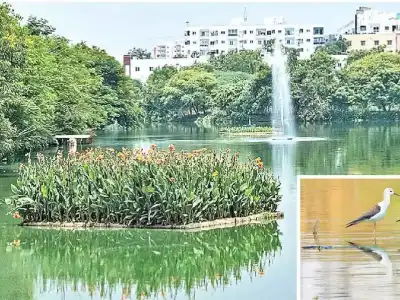 Restoration of Neknampur Lake receives praise