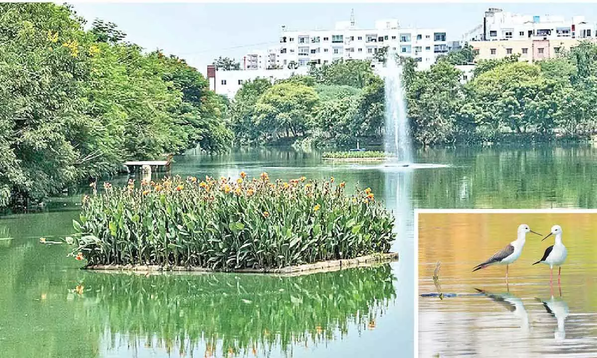 Restoration of Neknampur Lake receives praise
