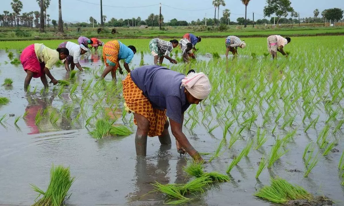 Rider to Farmer Support