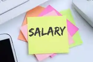 Salaries delivered to Telangana Bhavan employees