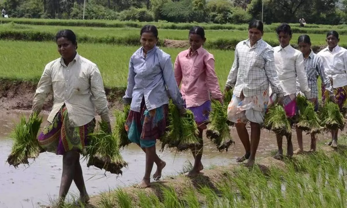 Sorting and exempting