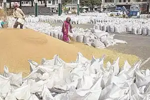 Telangana government breaks record, compensates 8.35 lakh farmers for grain procurement