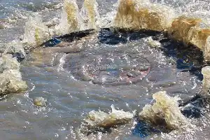 Urgent Action Needed to Unclog Manholes