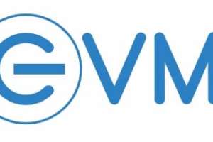Amidst Foreign Dominance, Indian Brand EVM Emerges as ‘Leading SSD Brand of 2023’