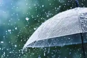 AP and Telangana to Experience Heavy Rains due to Low Pressure Area Forecast