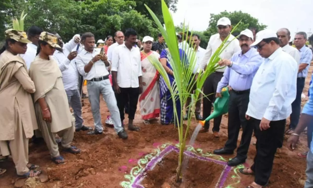 DC BM Santhosh aims for 100% completion of Vana Mahotsav targets