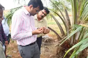 DC BM Santhosh Calls for Increased Oil Palm Cultivation