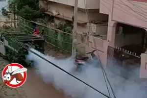 Fighting Dengue: GHMC Intensifies Anti-Mosquito Campaign