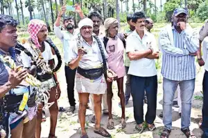 Government dedicated to improving the welfare of toddy tappers