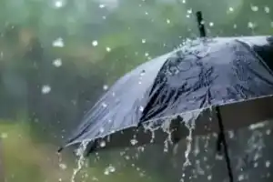 IMD Issues Red Alert for Five Districts in Telangana
