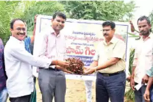 Initiative to Accelerate Oil Palm Cultivation Set to Launch Soon