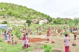 Launch of Vana Mahotsavam programme