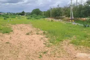 Locals urge Congress to keep promise and lift LRS ban