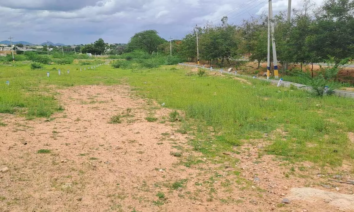 Locals urge Congress to keep promise and lift LRS ban