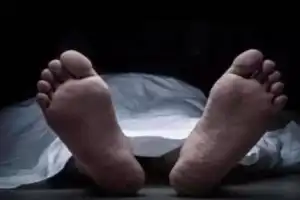 Man killed in car overturn on PVNR Expressway in Hyderabad