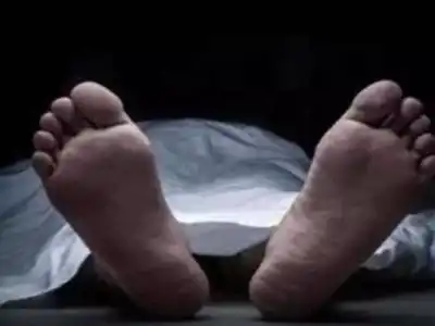 Man killed in car overturn on PVNR Expressway in Hyderabad