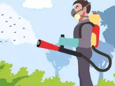 Mosquito Infestation Plagues Hyderabad Due to Growing Breeding Grounds