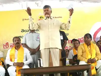 Naidu says young blood will rejuvenate TG TDP soon