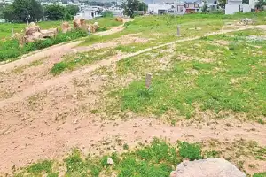 Private Enterprises Established on Government-Owned Lands