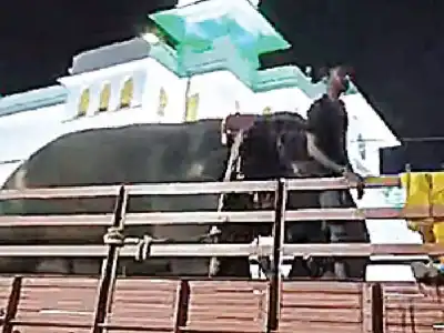 Rupavathi, the Elephant from Karnataka, Chosen to Lead Moharram and Bonalu Processions