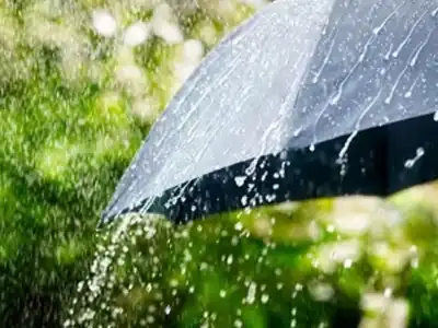 Several Districts in Andhra Pradesh and Telangana on Orange Alert as Heavy Rains Predicted