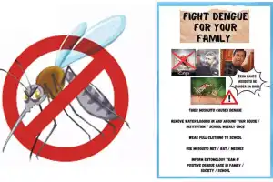 Sharp increase in dengue cases reported in Hyderabad