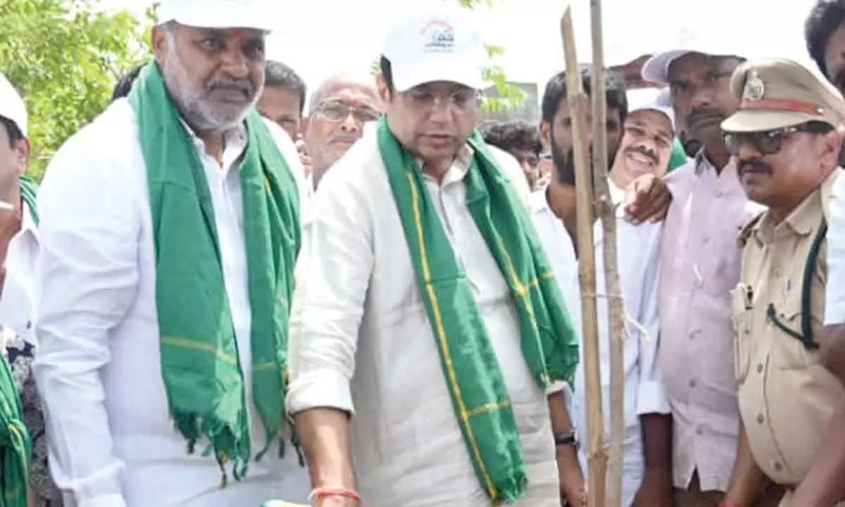 Sridhar Babu orders an audit of newly planted saplings