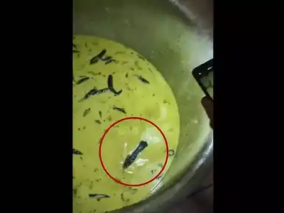 Students at JNTUH Sultanpur outraged by presence of insects and rats in food