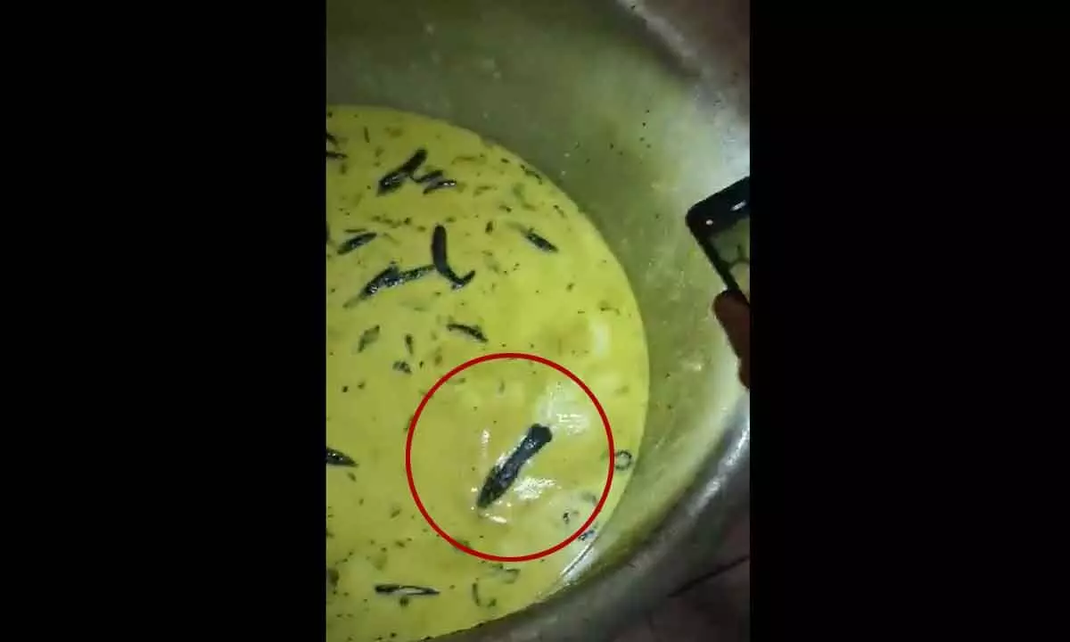 Students at JNTUH Sultanpur outraged by presence of insects and rats in food