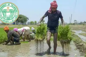 Telangana Government to Start Loan Waiver Process Within a Week, Guidelines Coming Soon