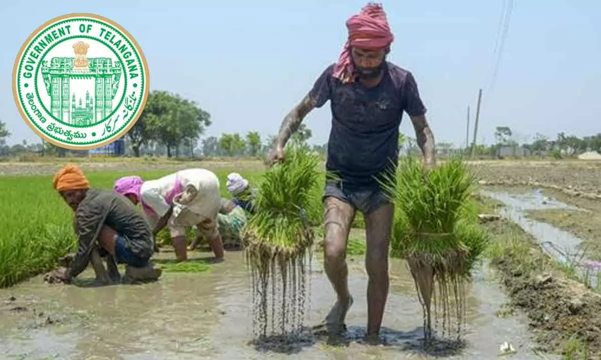 Telangana Government to Start Loan Waiver Process Within a Week, Guidelines Coming Soon