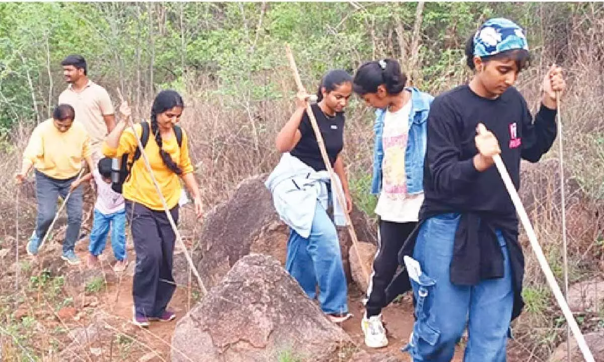 TGFDC camps provide opportunities for people to connect with nature.