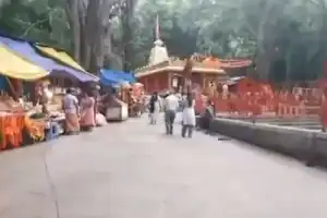 Woman sustains head injury when tree branch falls near Tirumala temple